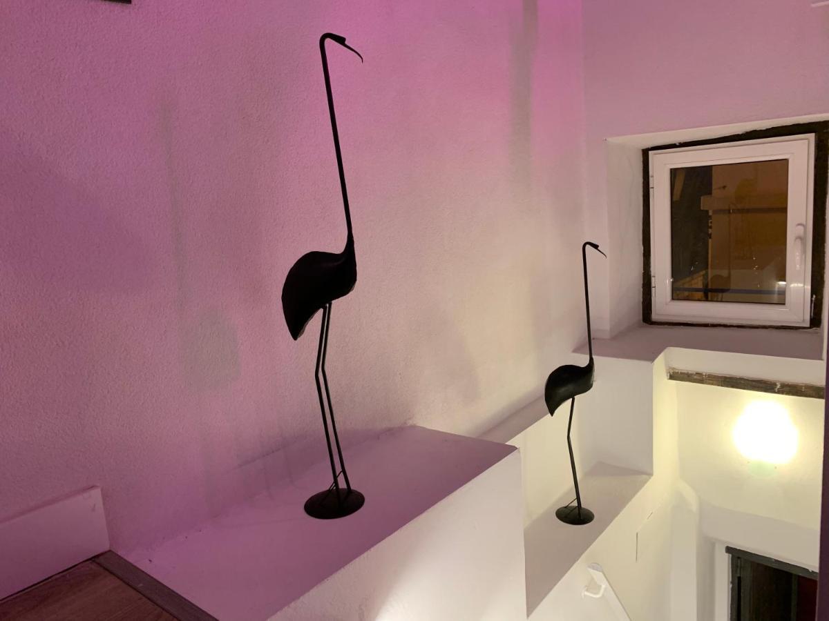 Villa Casita Del Flamingo En Casco Historico à Alicante Extérieur photo